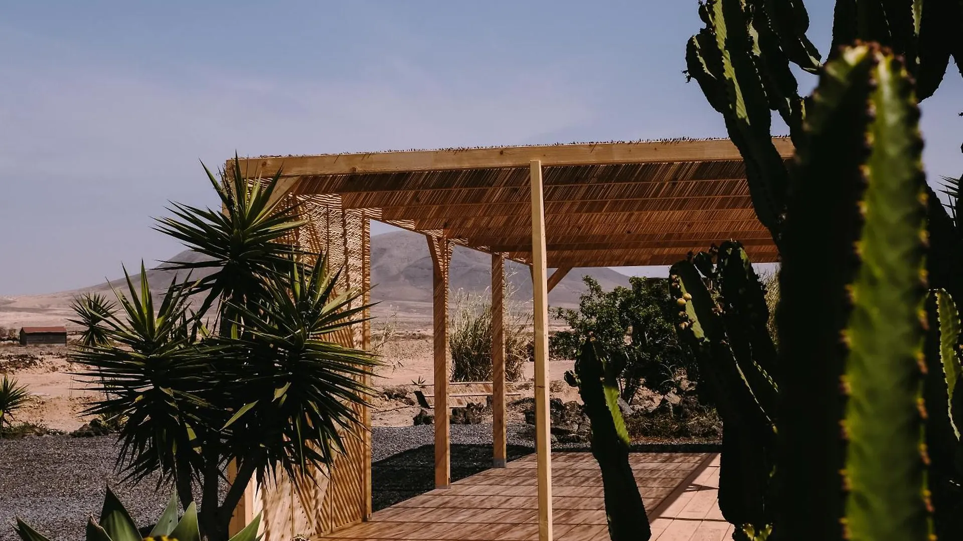 Отель Surf & Yoga Retreats Fuerteventura Роке Испания