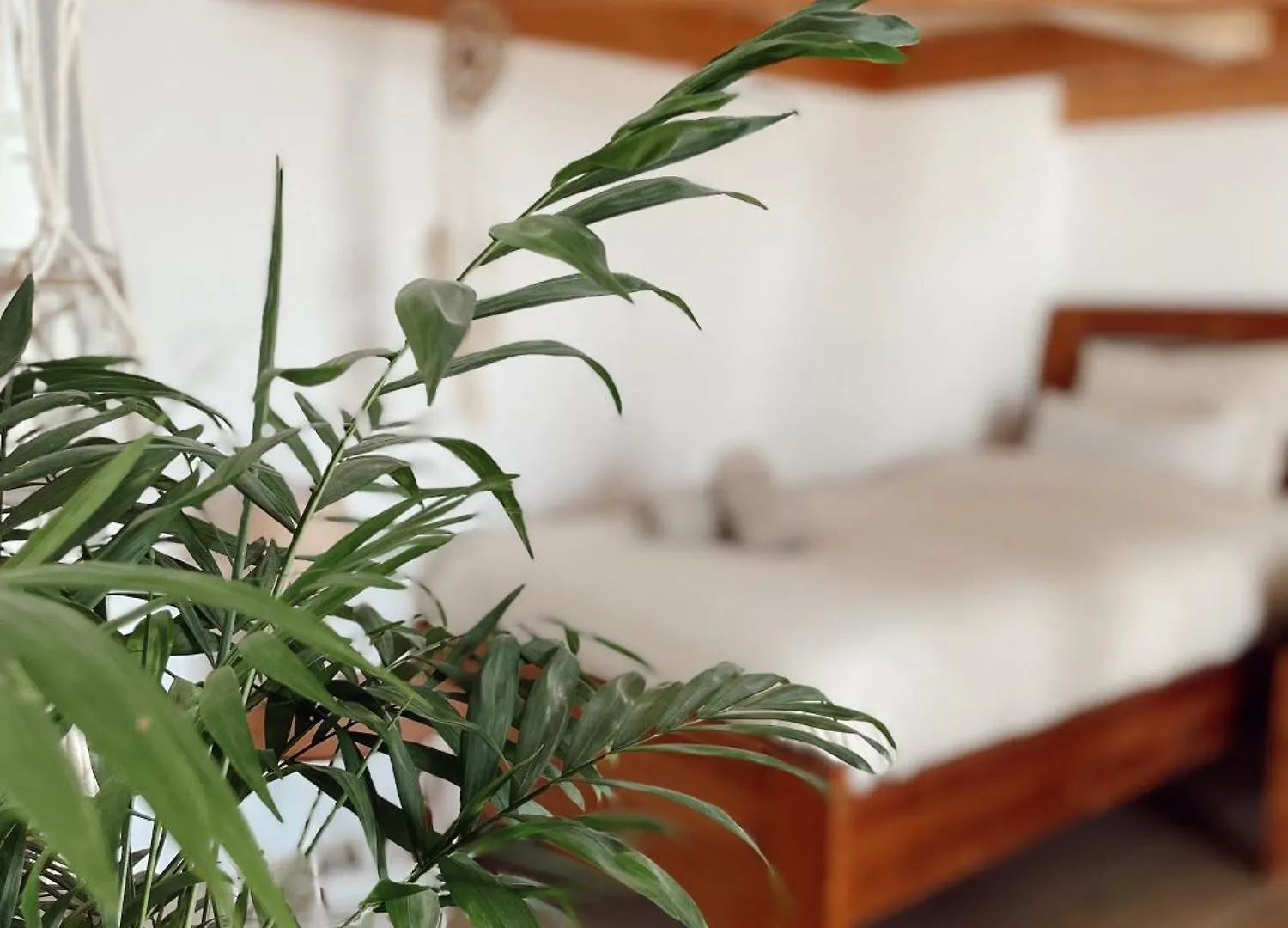 Отель Surf & Yoga Retreats Fuerteventura Роке 0*,